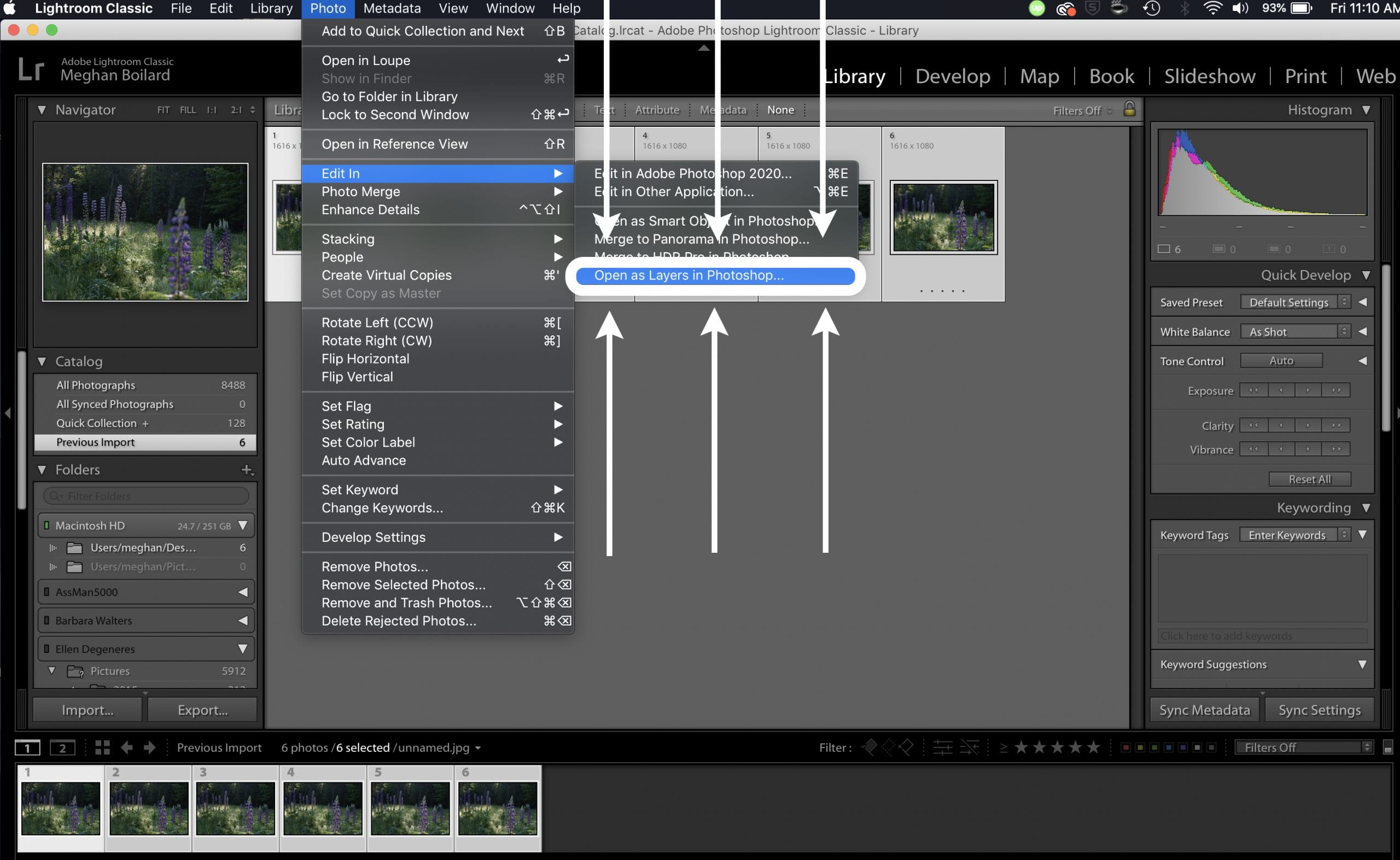 A Beginners Guide to Focus Stacking in Lightroom and Photoshop