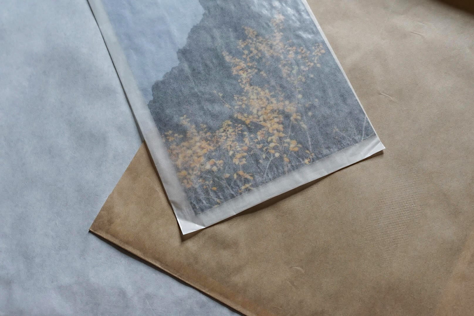 Printique Paper Print Review