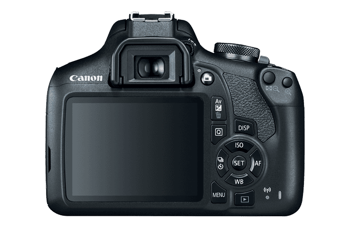 nikon d3500 vs canon t7 - Canon EOS T7 rear LCD screen
