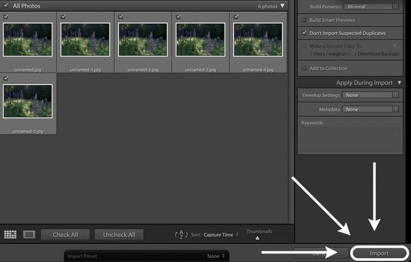 importing images into lightroom