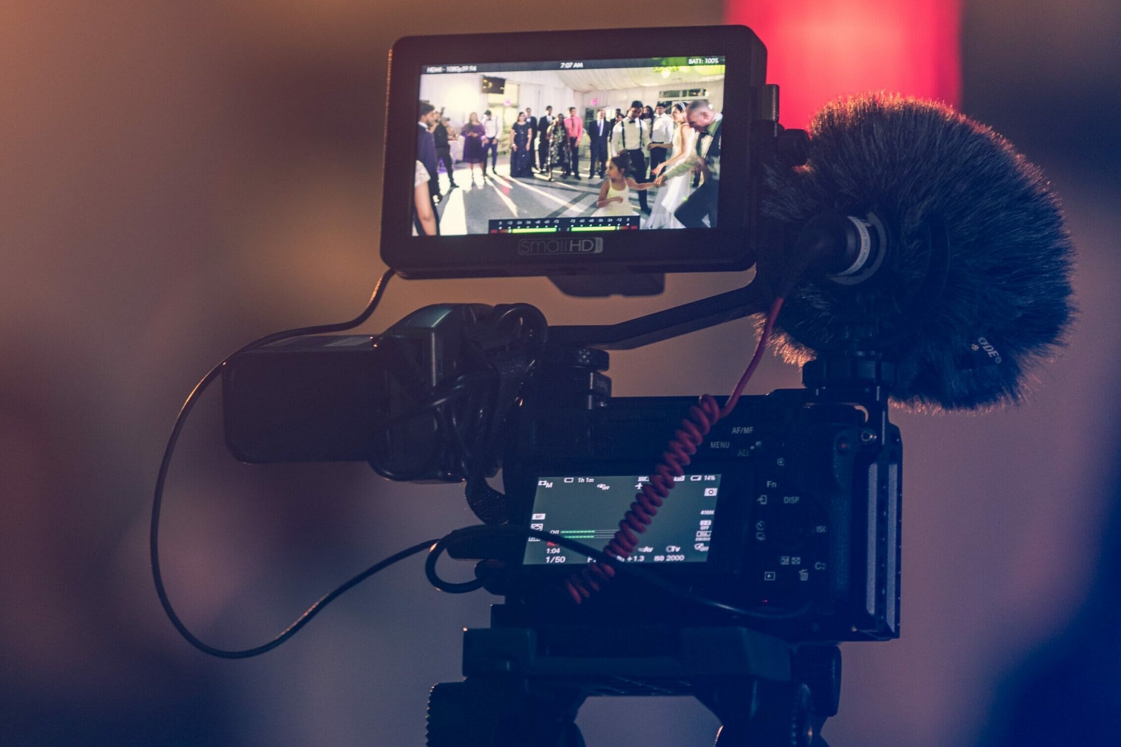 Best Field Monitors You Can Buy in 2025: 5 Top Picks