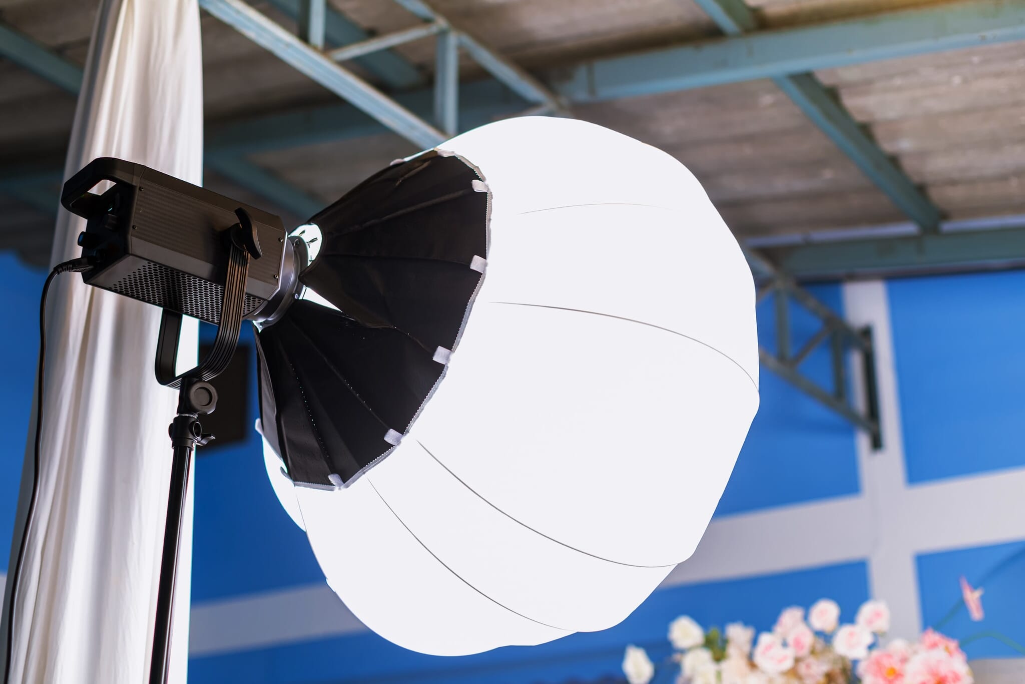 Rim Light Photography: The Ultimate Guide