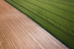 Aerial of farmland with strips of green crops on the right and a plowed field on the left.