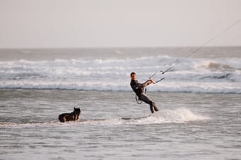 Kite surfer and a dog in the sea.