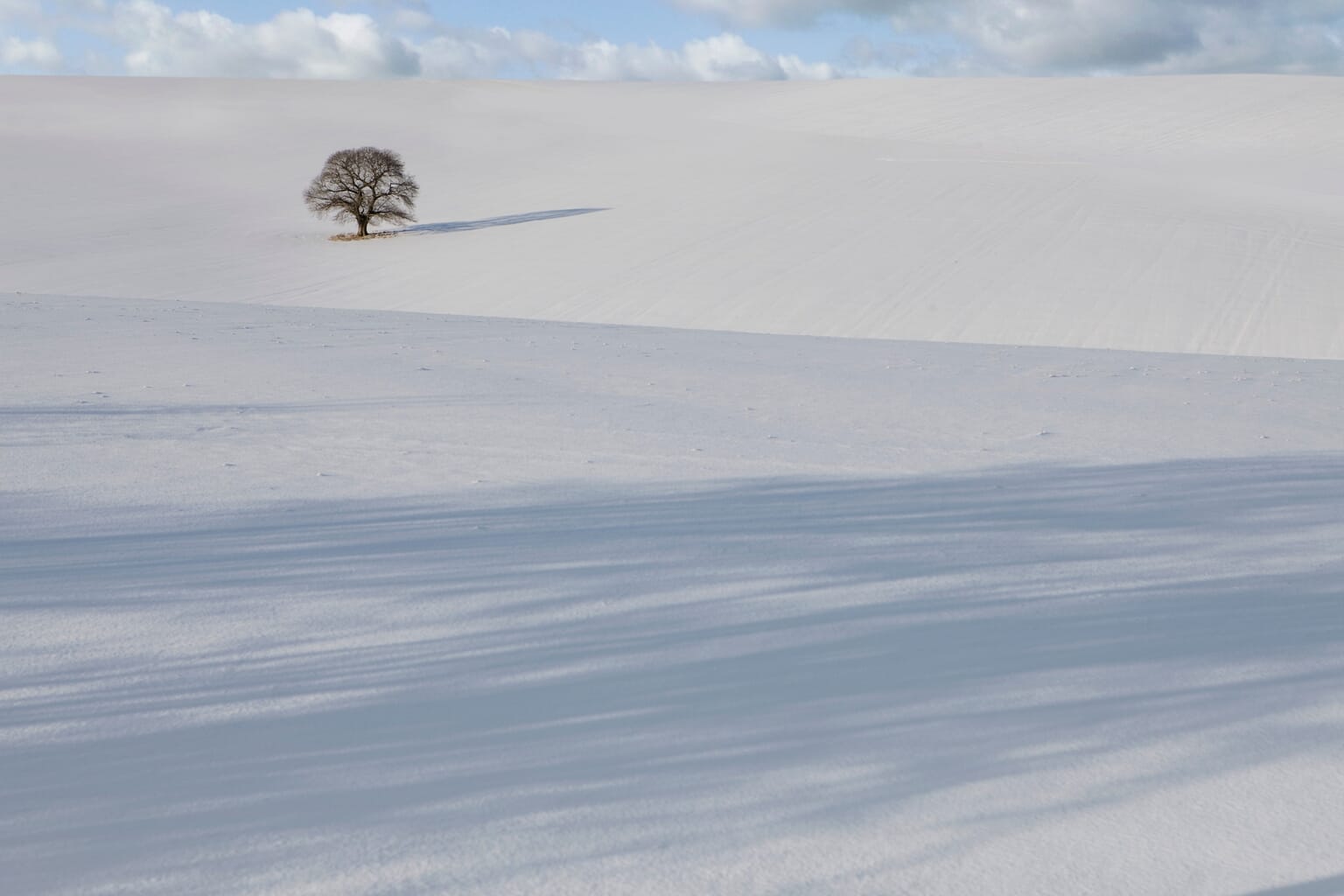 Negative Space in Photography: The Essential Guide for Beautiful ...