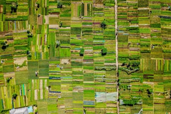 Pattern of a patch of green fields shot from above.