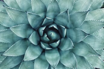 The Ultimate Guide to Symmetry in Photography