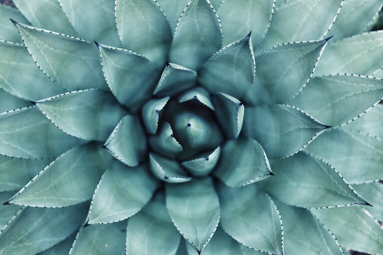 Patterns In Photography How To Use Patterns For Stunning Results patterns-in-photography-how-to-use-patterns-for-stunning-results