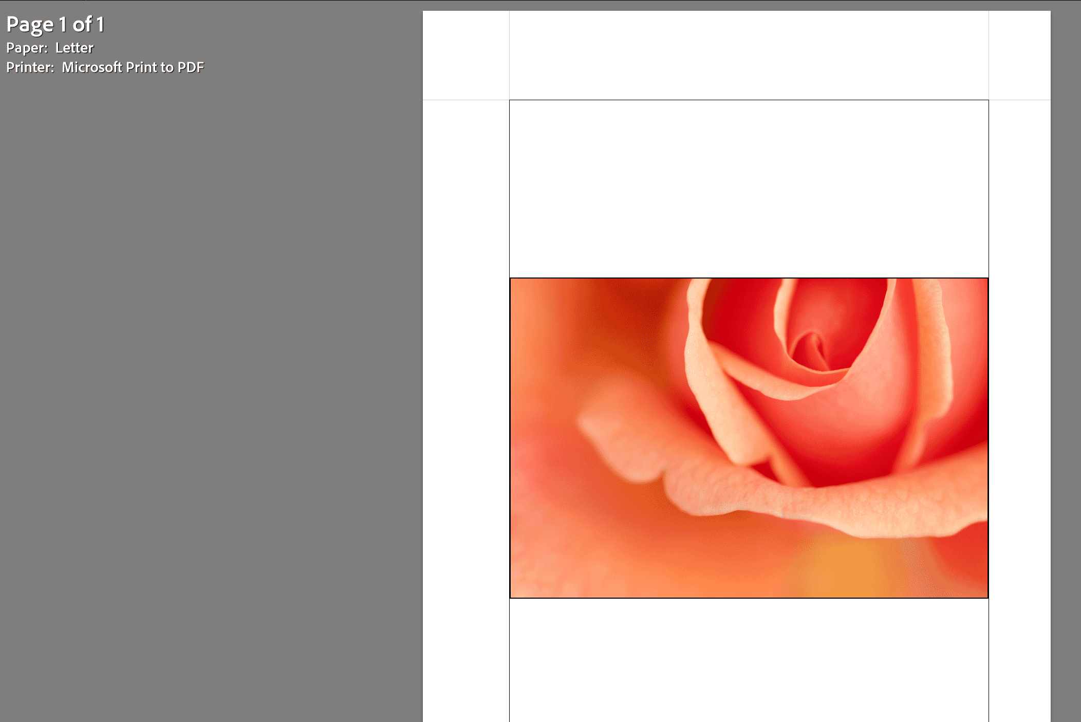 printing in lightoom
