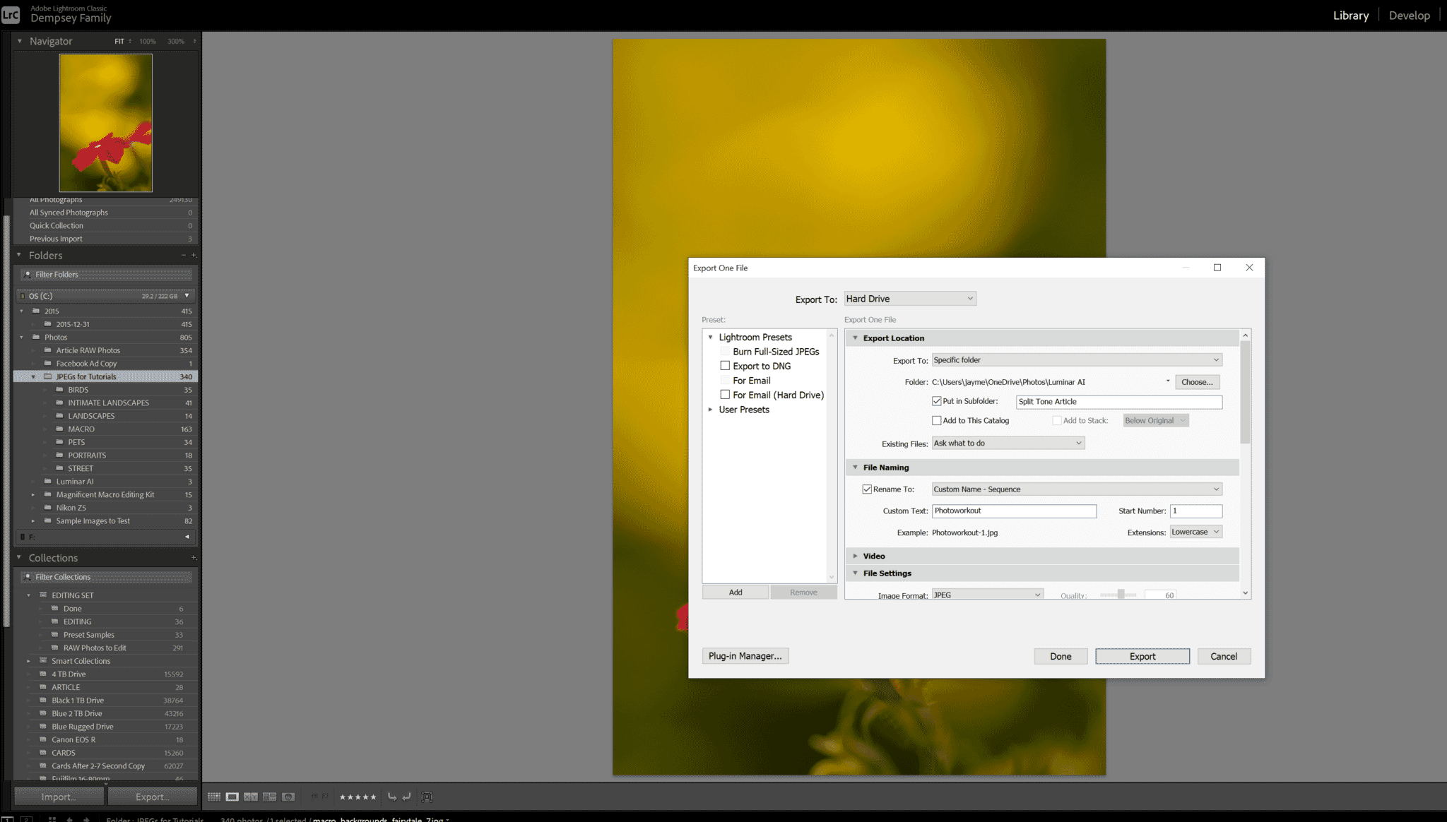 Color Management for Photographers: A Complete Guide