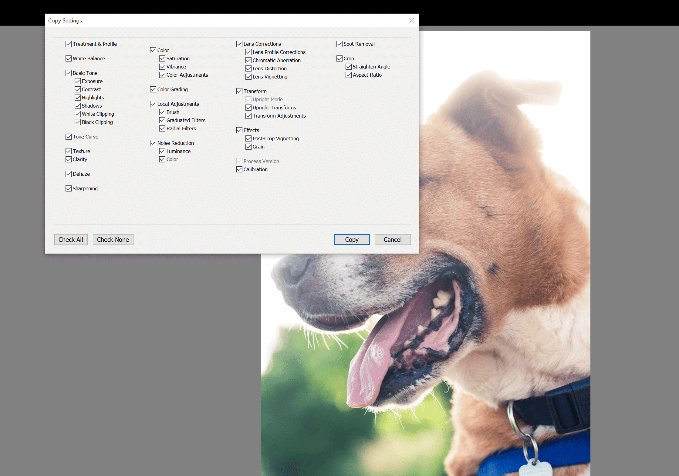 How to Batch Edit in Lightroom An Essential Guide