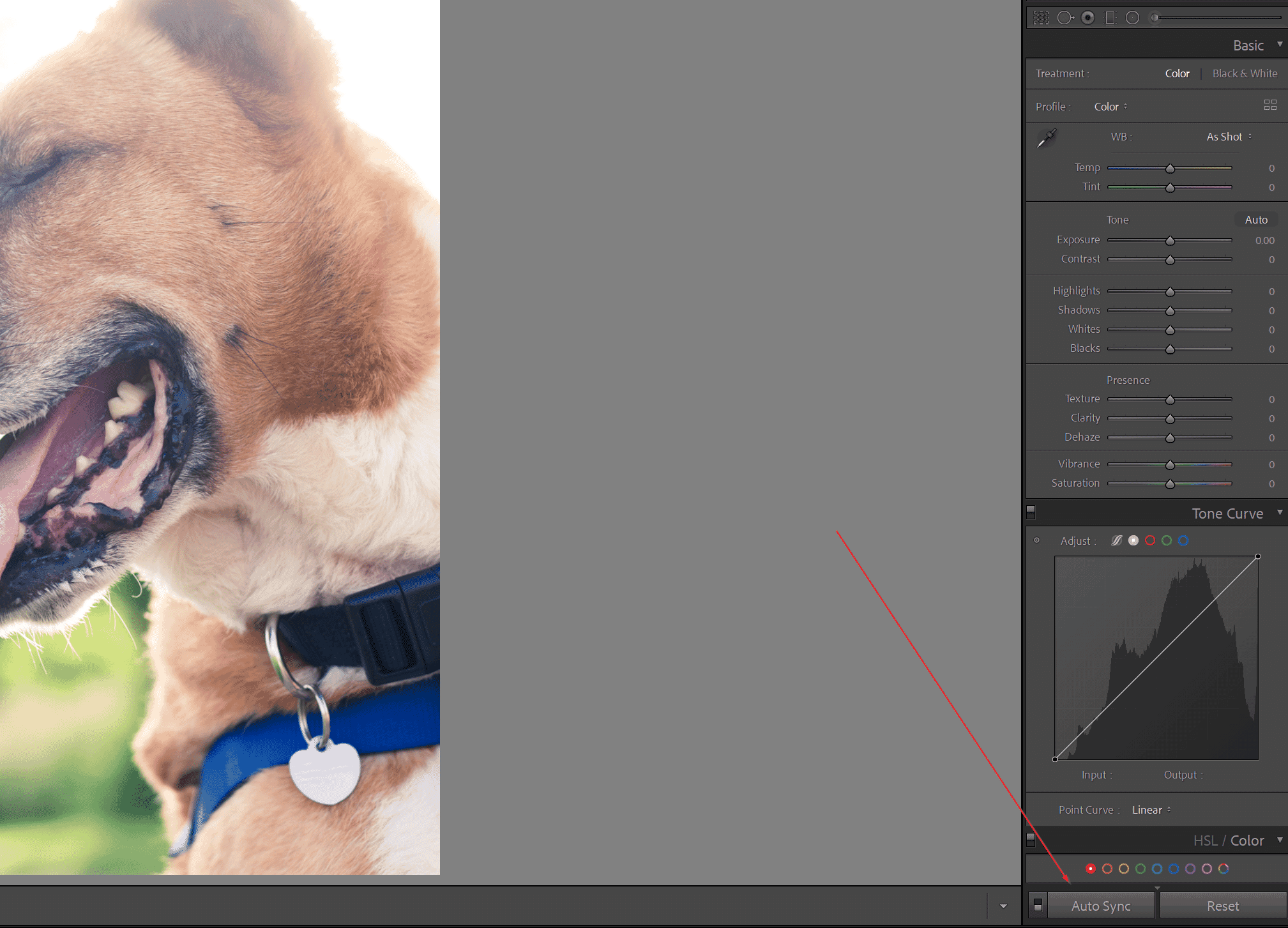How to Batch Edit in Lightroom An Essential Guide