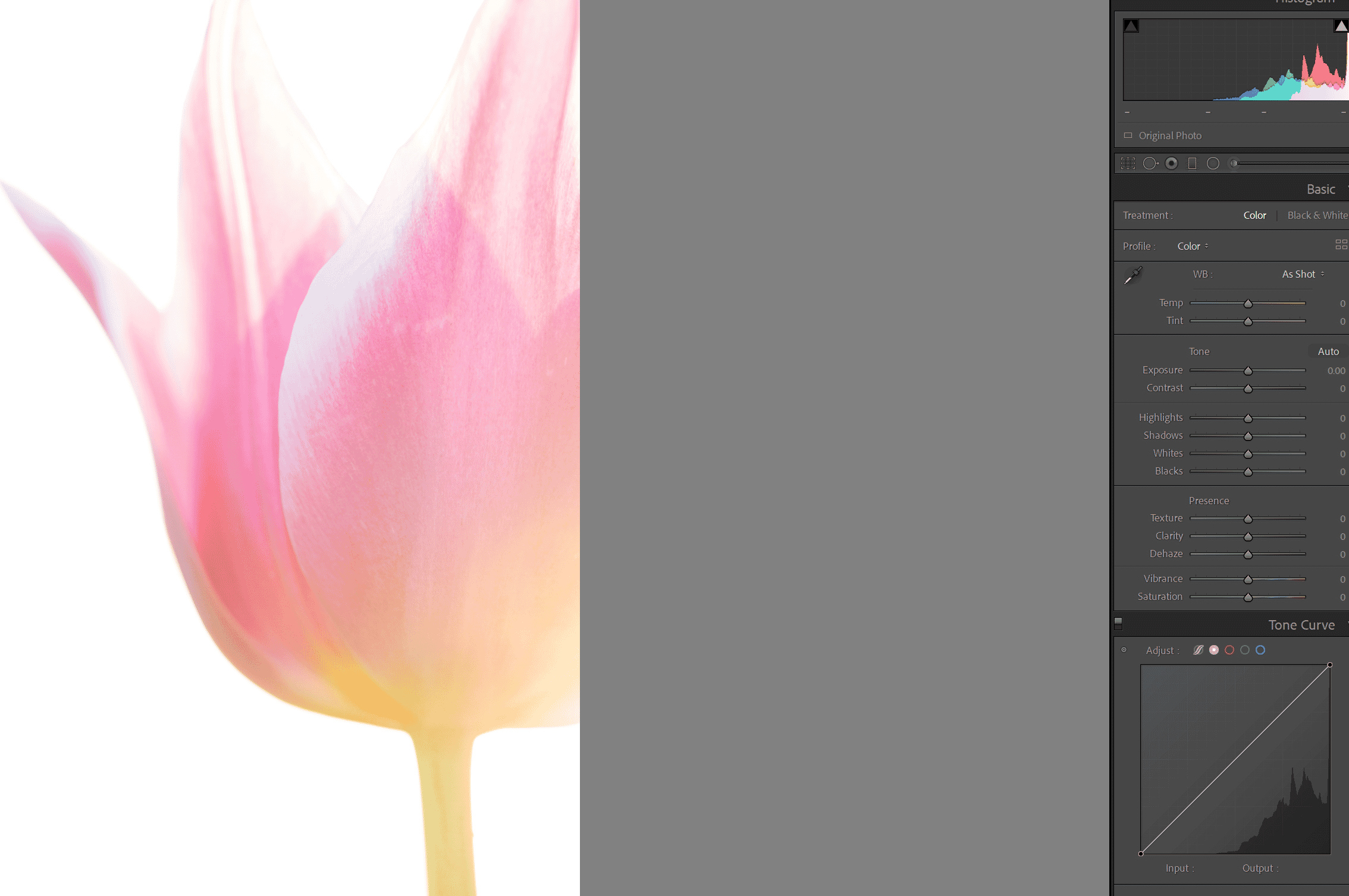 photo edited in lightroom