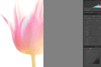 photo edited in lightroom