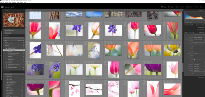 how to download adobe lightroom for pc for free