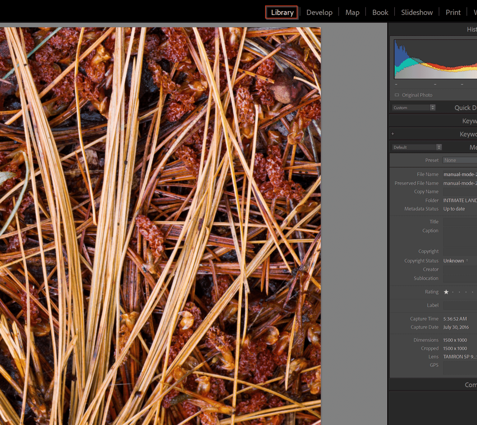 Output Sharpening: A Guide to Sharpening for Display and Print