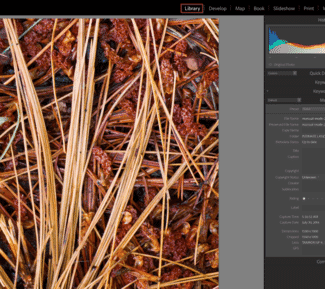 Output Sharpening: A Guide to Sharpening for Display and Print