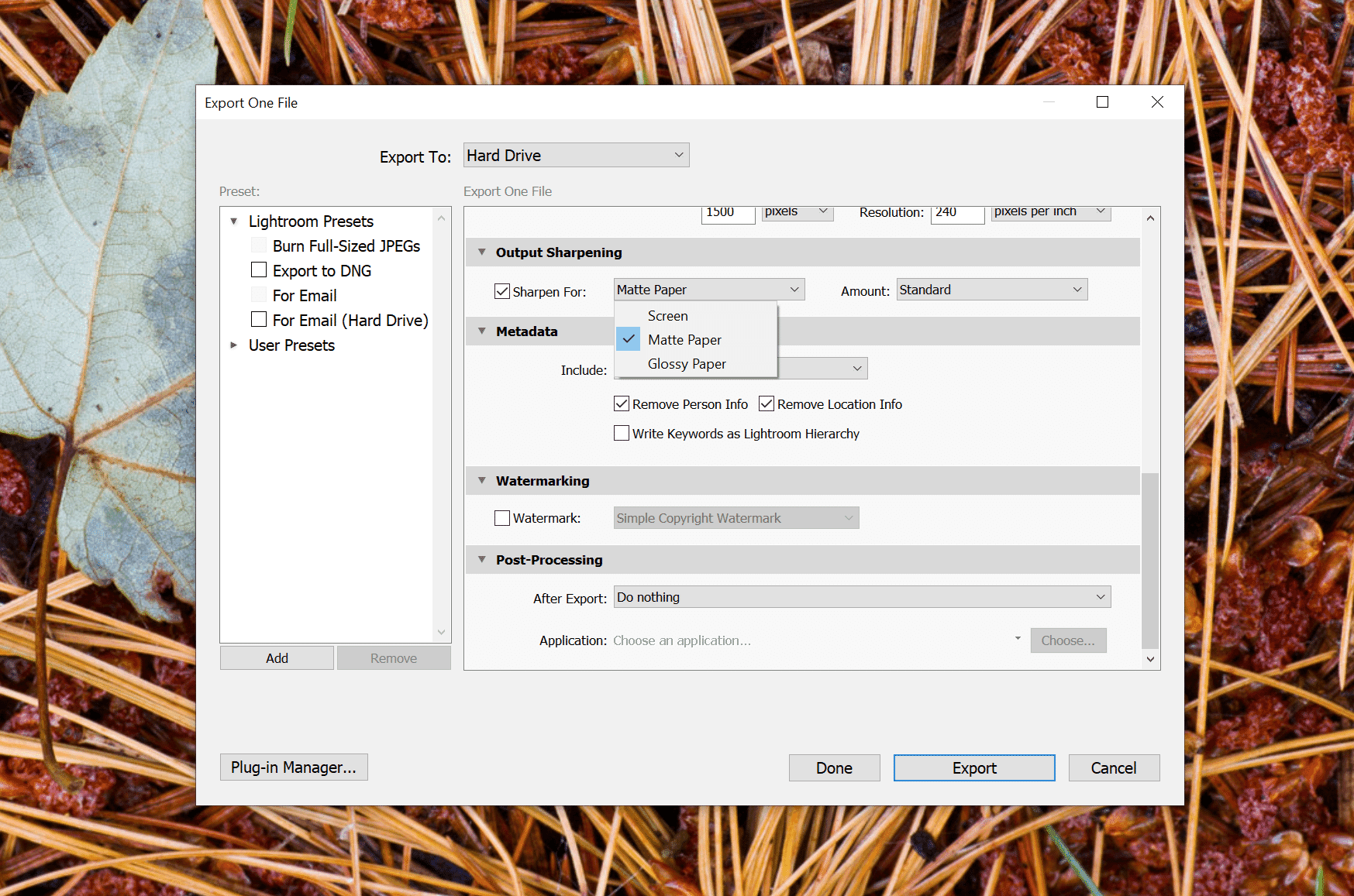 output sharpening with dxo photolab 2 output sharpening with dxo photolab 2