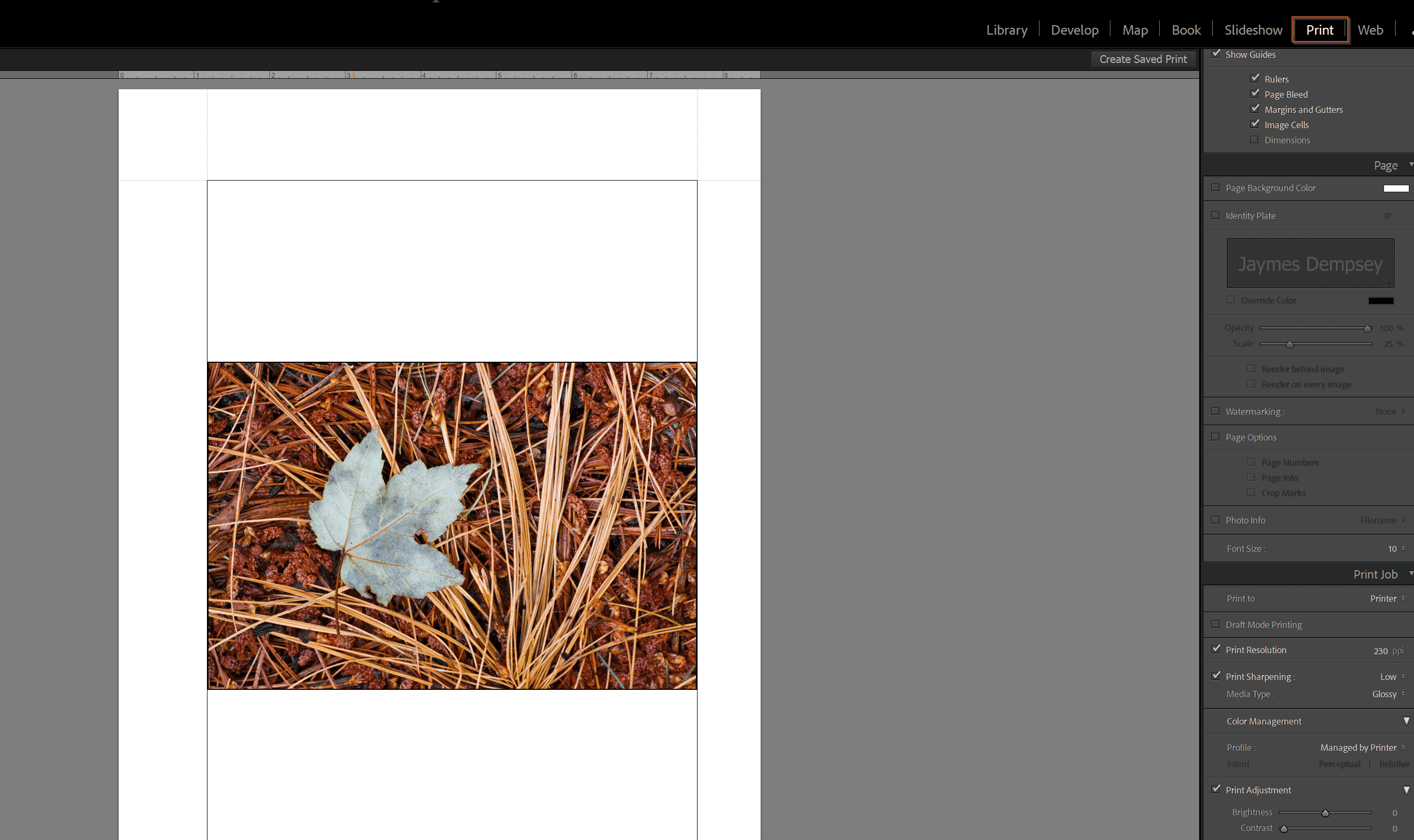 Output Sharpening A Guide to Sharpening for Display and Print