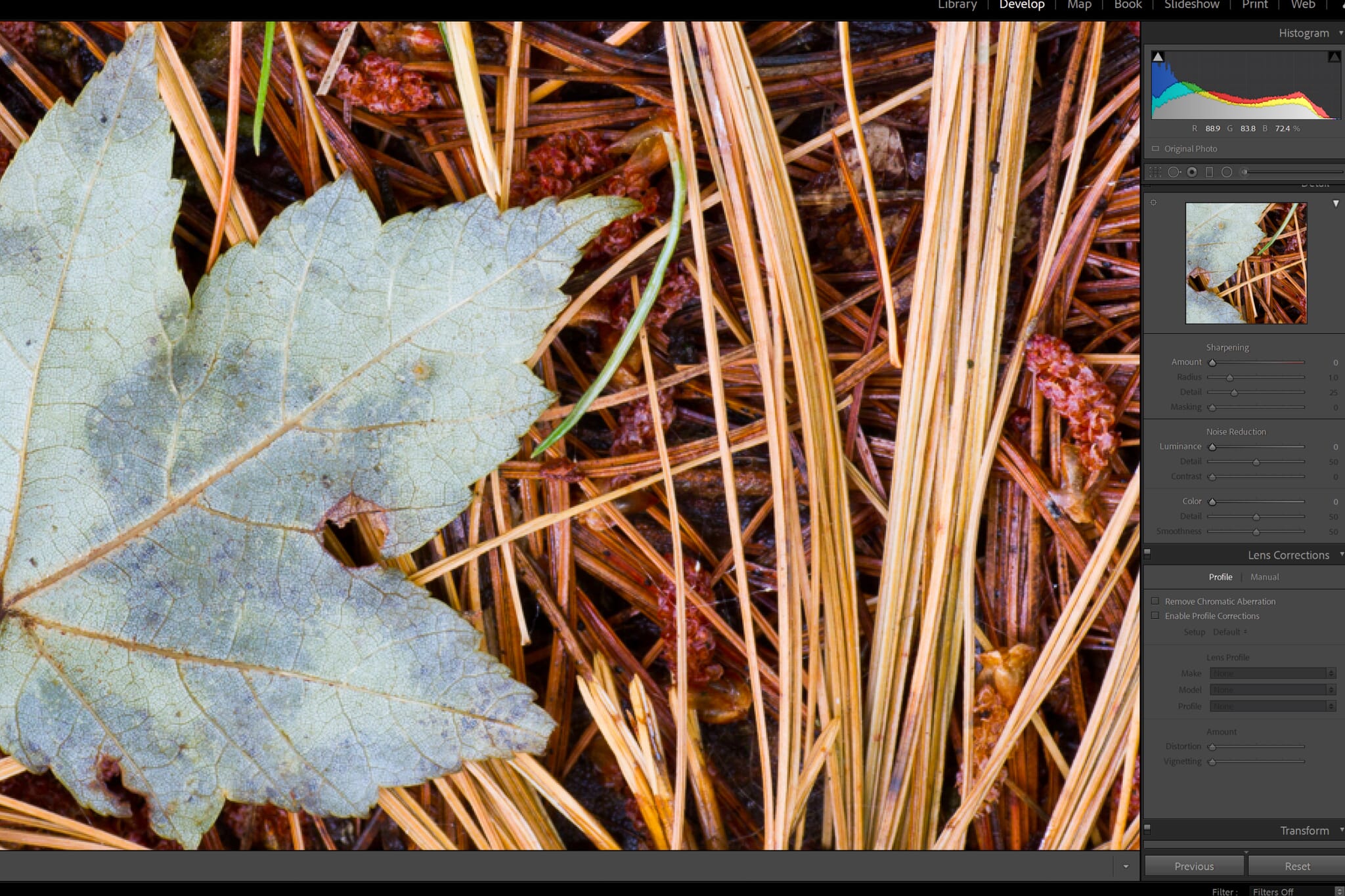 Print Resolution: The Essential Guide to Image Resolution for Printing