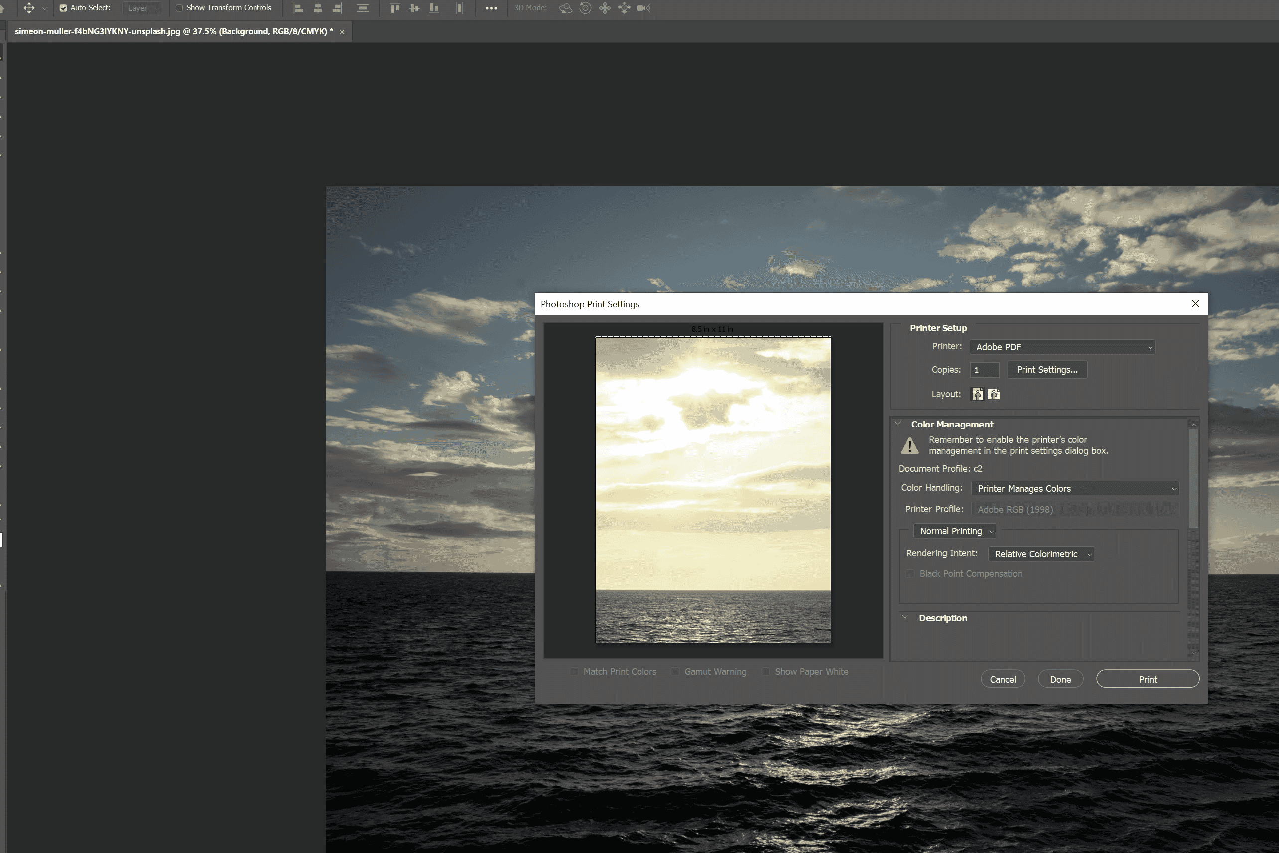 Photoshop printing screenshot.