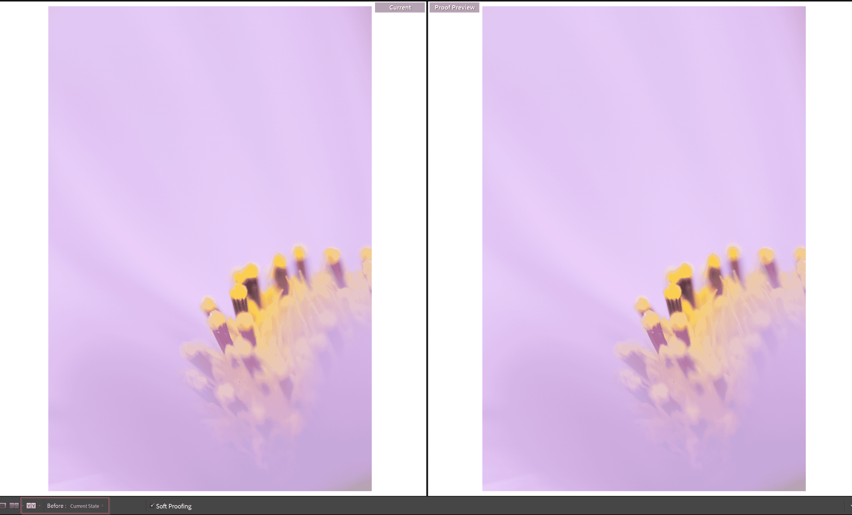 soft proof lightroom 5 soft proof lightroom 5