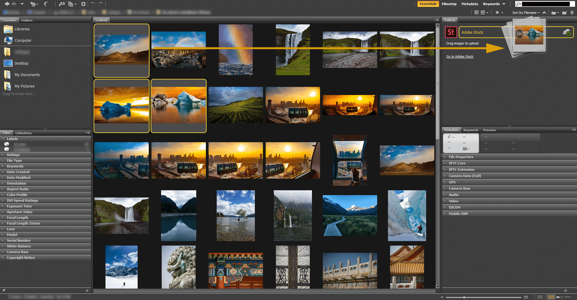 Adobe Bridge