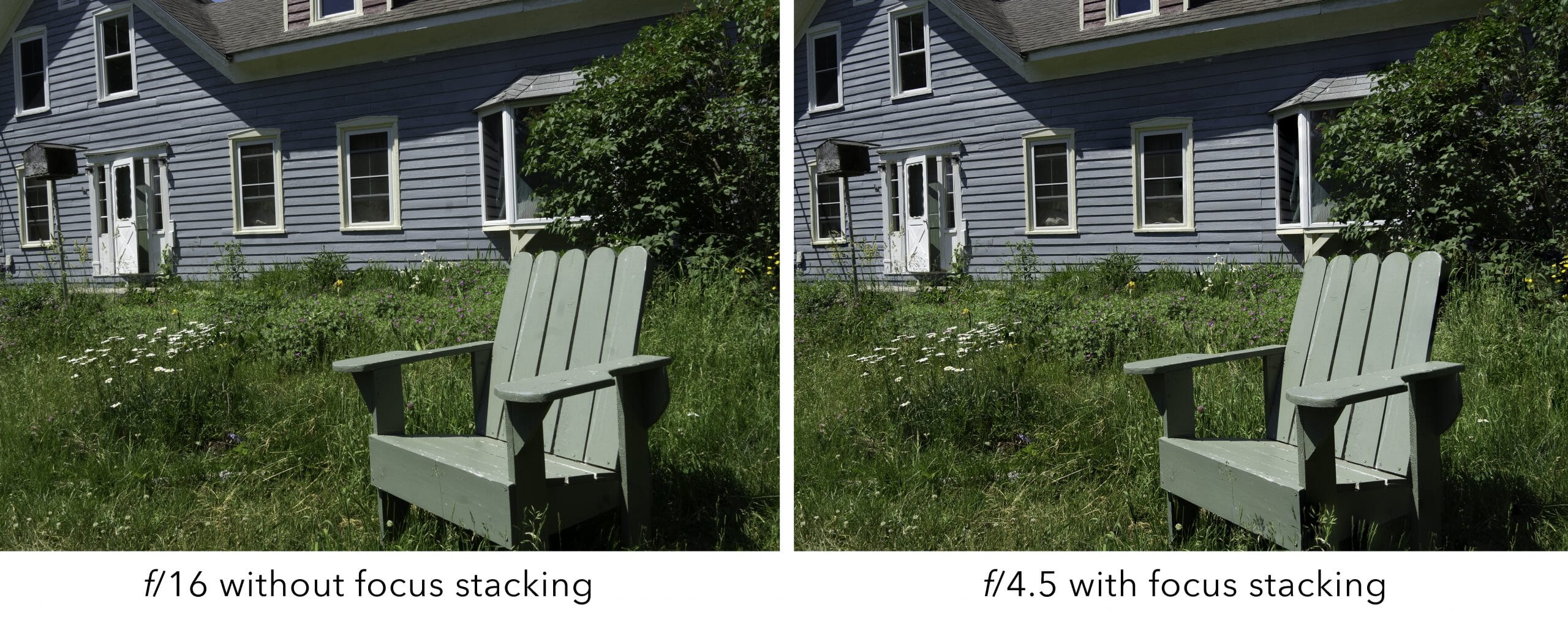 A Beginners Guide to Focus Stacking in Lightroom and