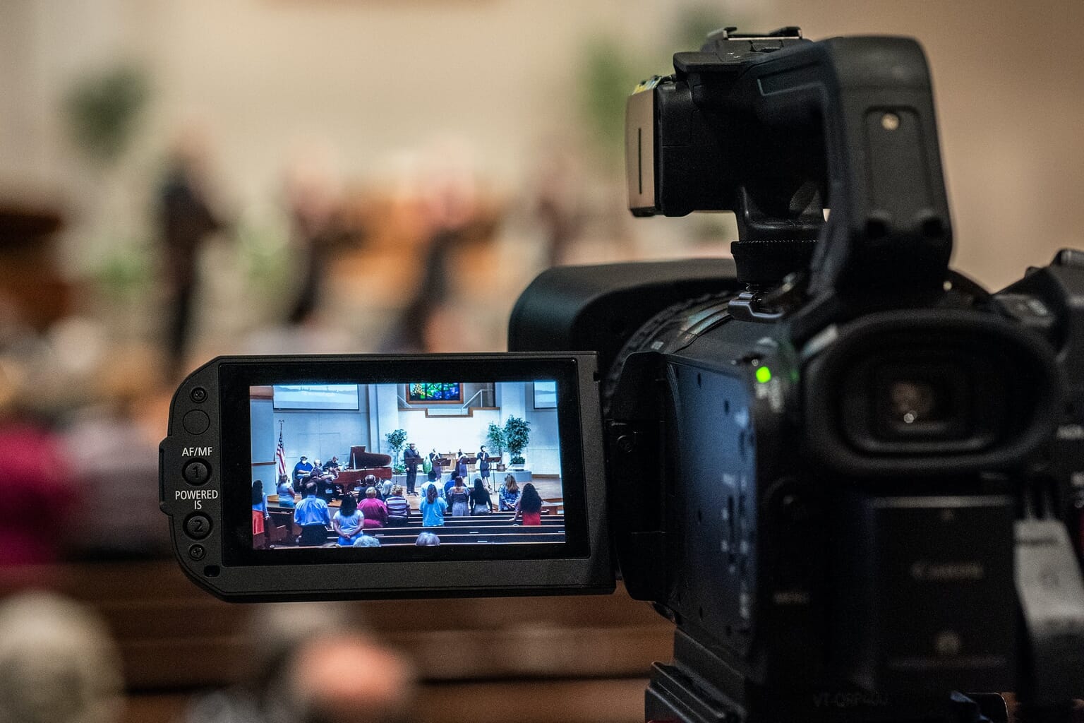 Best Cameras for Focus Stacking: Top 5 Picks (in 2024)