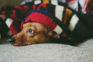 Best Photo Blankets