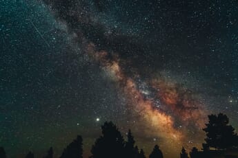 Trees silhouetted in the foreground against the Milky Way at night.