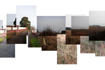 Joiner Photography image example