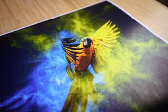 Large Photo Print by Pictorem