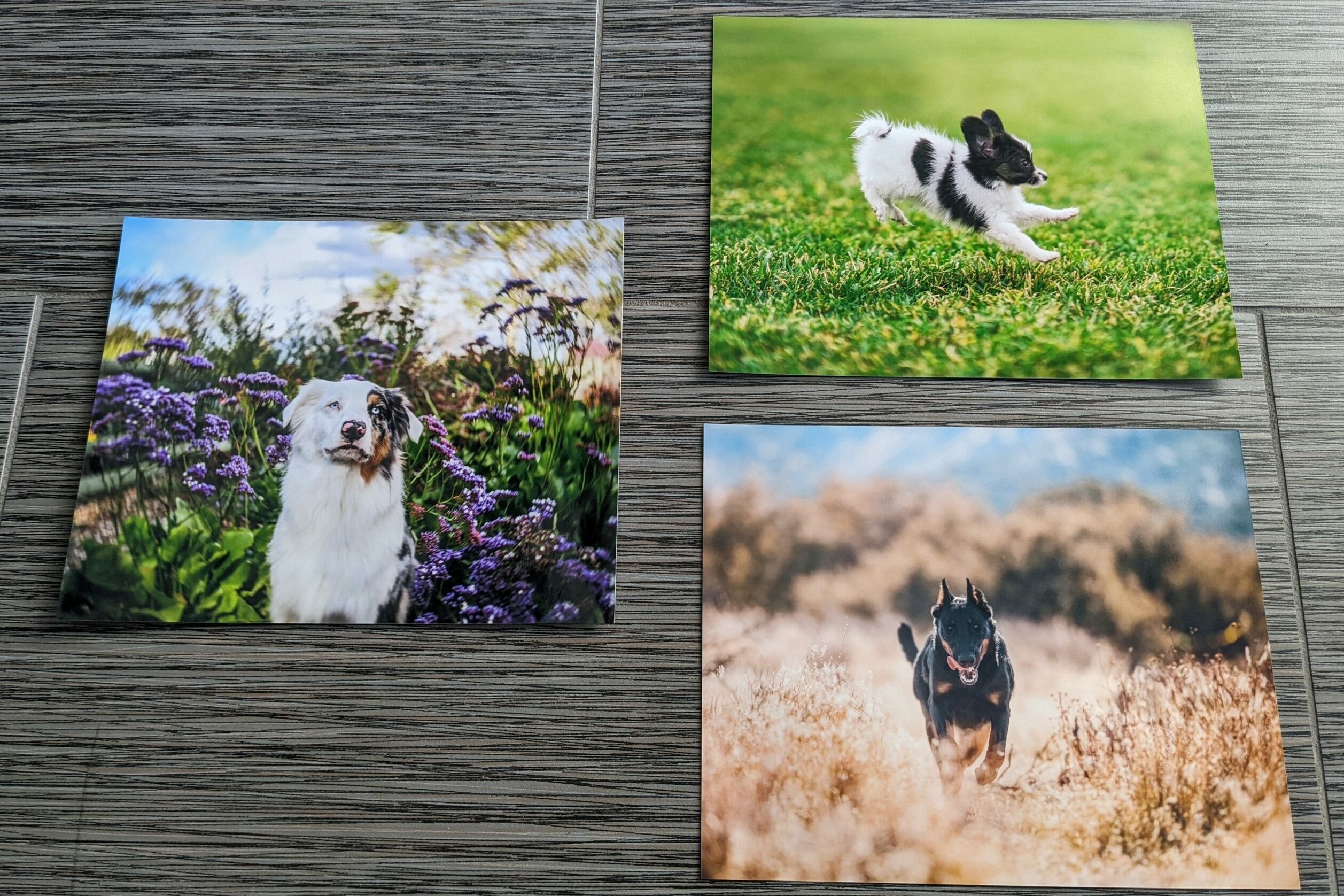 five fastest printing services