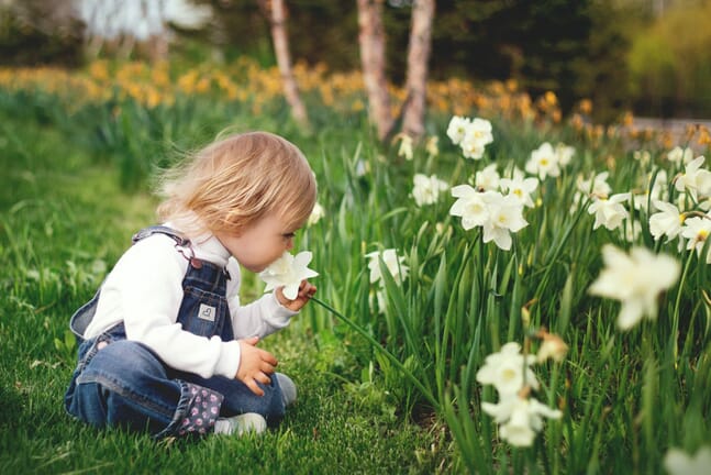Small child smelling flowers outdoors.