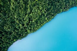 Aerial landscape of a forest of green trees in the upper left and a sea of turquoise water in the lower right.