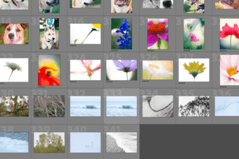 Images of flowers, dogs, and waves displaying in Grid view in Lightroom Desktop.