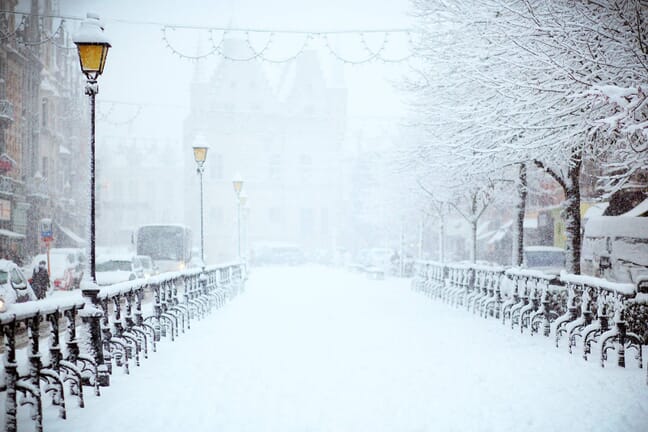 A snowy street with trees on one side and cars on the other.