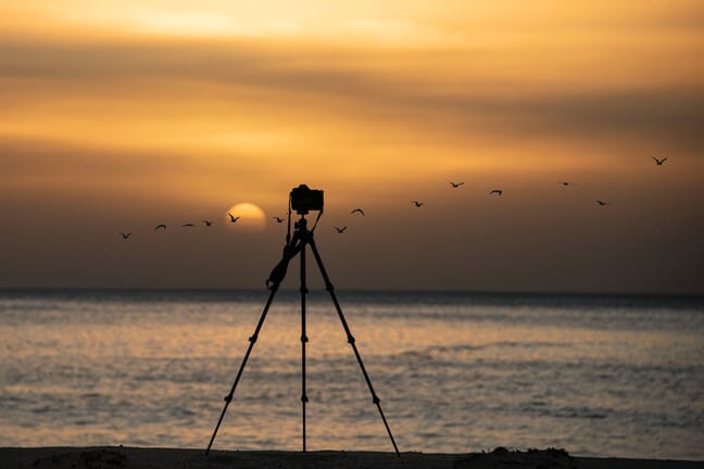Tripod and camera silhouette overlooking the ocean at sunset with a line of birds flying.