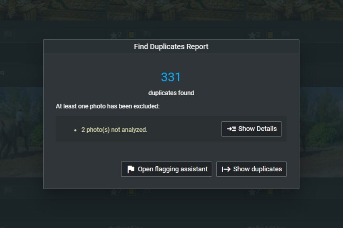Excire Foto duplicate finder results