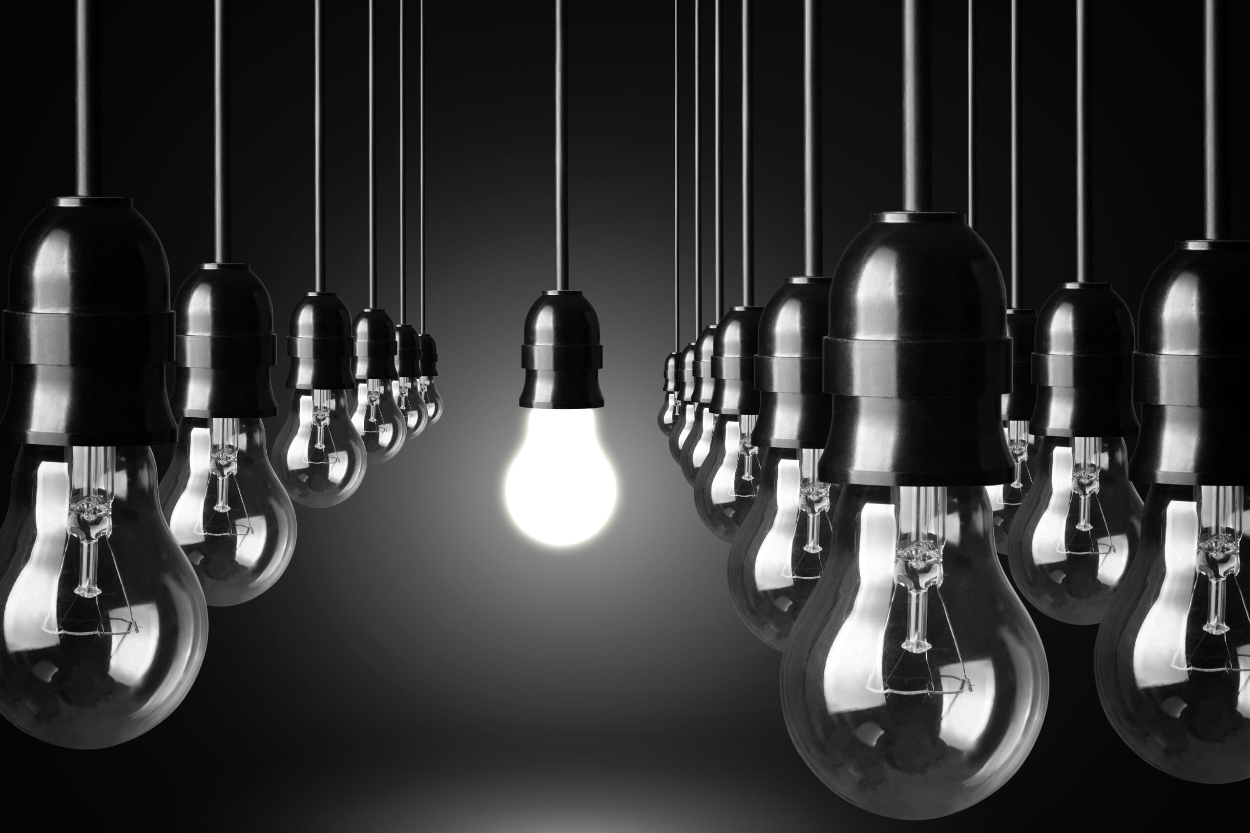 Light bulbs in black and white.