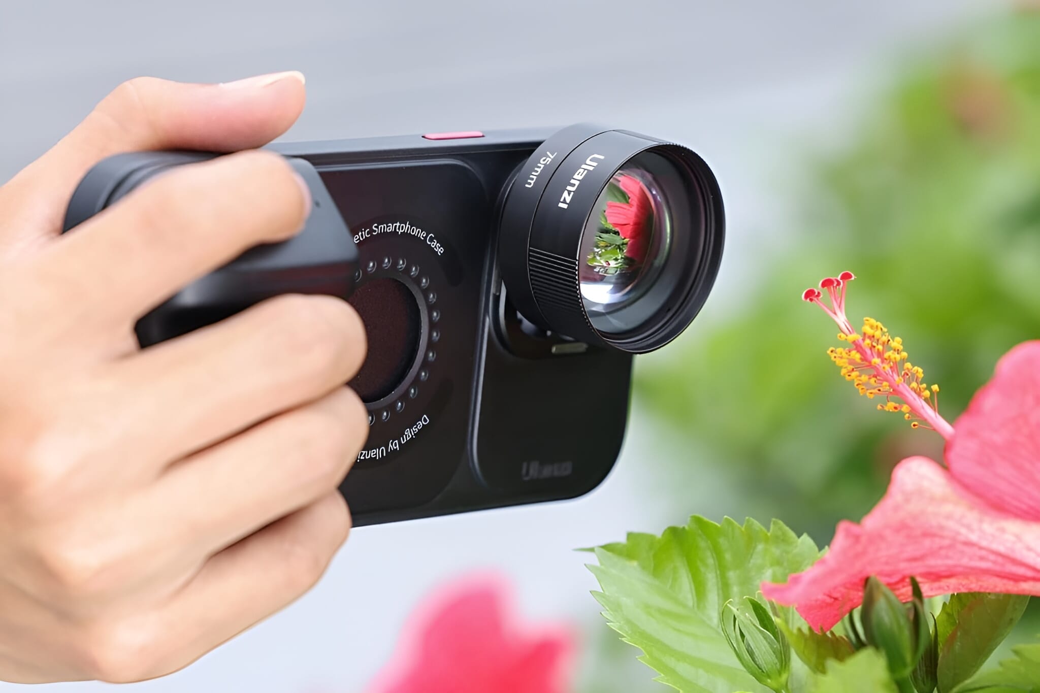 Ulanzi iPhone lens taking macro shot of flower.