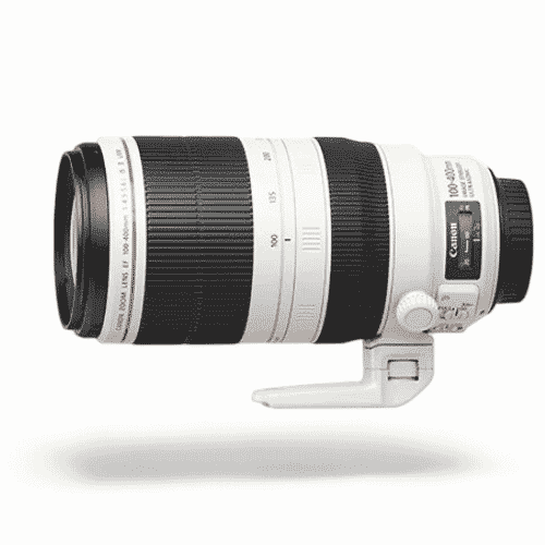 Canon EF100-400mm f/4.5-5.6L IS II USM