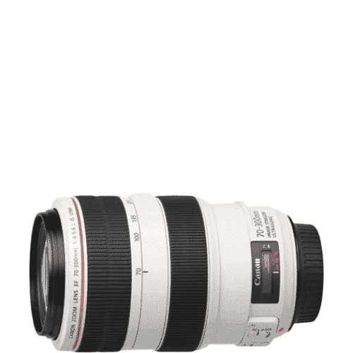 Canon EF70-300mm f/4-5.6L IS USM