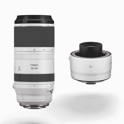 Canon RF100-500mm f/4.5-7.1 L IS USM + EXTENDER RF1.4x