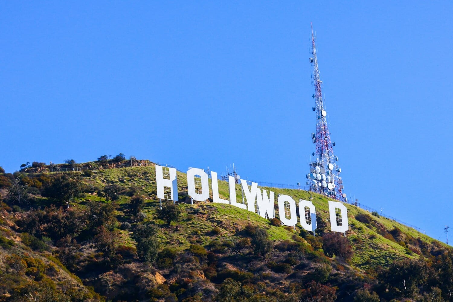 The Hollywood sign on a hillside — symbolic of the entertainment industry now fighting AI