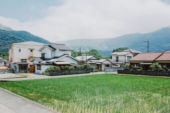 Japanese rice paddies in the Aizu region where Sigma manufactures lenses