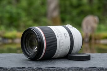 Best Canon RF Sports Lenses: 9 Picks for Wildlife and Action