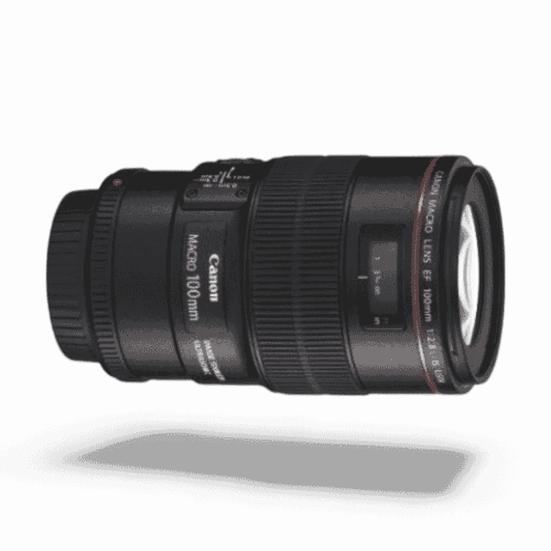 Canon EF 100mm f/2.8L Macro IS USM