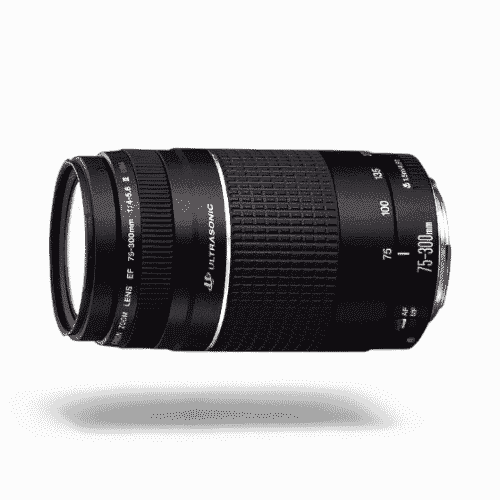 Canon EF 75-300mm f/4-5.6